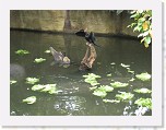 Dierentuin Burgers  Zoo 069 * 3648 x 2736 * (4.89MB)